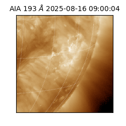 saia - 2025-08-16T09:00:04.844000