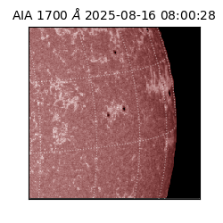 saia - 2025-08-16T08:00:28.710000