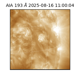 saia - 2025-08-16T11:00:04.843000