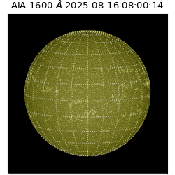 saia - 2025-08-16T08:00:14.121000