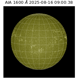 saia - 2025-08-16T09:00:38.131000