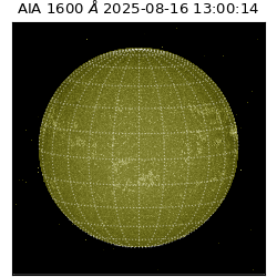 saia - 2025-08-16T13:00:14.125000