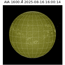 saia - 2025-08-16T16:00:14.125000