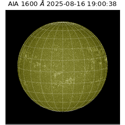 saia - 2025-08-16T19:00:38.131000