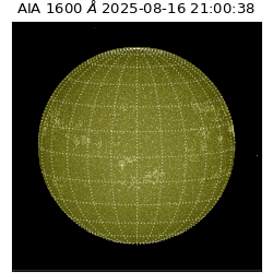 saia - 2025-08-16T21:00:38.132000