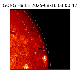 gong - 2025-08-16T03:00:42