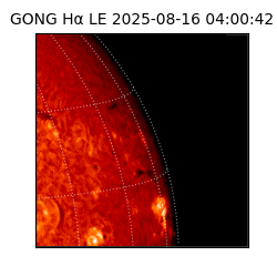 gong - 2025-08-16T04:00:42