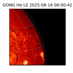 gong - 2025-08-16T06:00:42