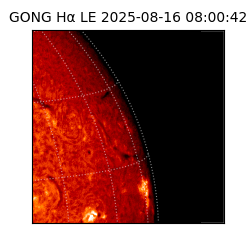 gong - 2025-08-16T08:00:42