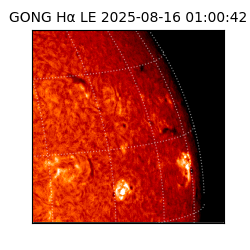 gong - 2025-08-16T01:00:42