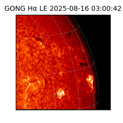 gong - 2025-08-16T03:00:42