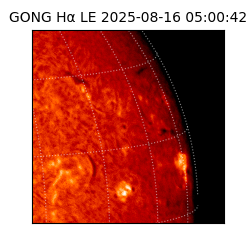 gong - 2025-08-16T05:00:42