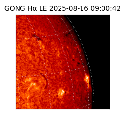 gong - 2025-08-16T09:00:42