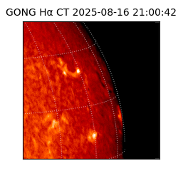 gong - 2025-08-16T21:00:42
