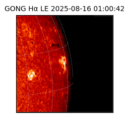 gong - 2025-08-16T01:00:42