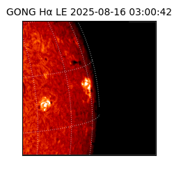 gong - 2025-08-16T03:00:42