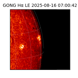 gong - 2025-08-16T07:00:42