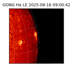 gong - 2025-08-16T09:00:42