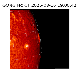 gong - 2025-08-16T19:00:42