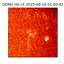 gong - 2025-08-16T01:00:42