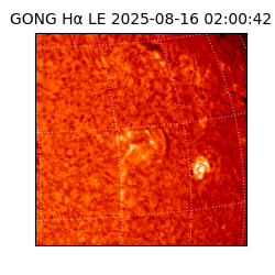 gong - 2025-08-16T02:00:42