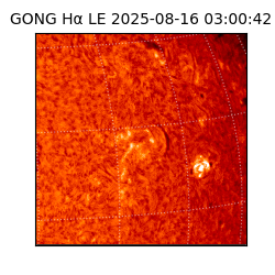 gong - 2025-08-16T03:00:42