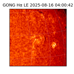 gong - 2025-08-16T04:00:42