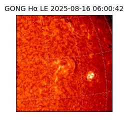 gong - 2025-08-16T06:00:42