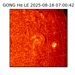 gong - 2025-08-16T07:00:42