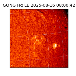 gong - 2025-08-16T08:00:42