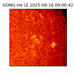 gong - 2025-08-16T09:00:42