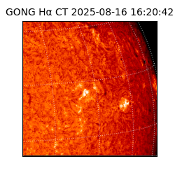 gong - 2025-08-16T16:20:42