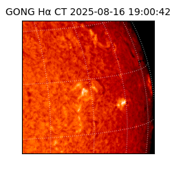 gong - 2025-08-16T19:00:42