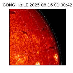 gong - 2025-08-16T01:00:42