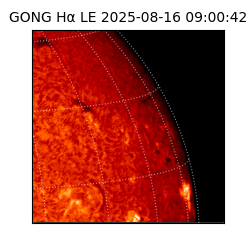 gong - 2025-08-16T09:00:42