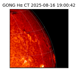 gong - 2025-08-16T19:00:42