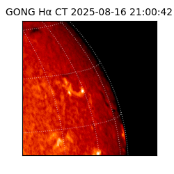 gong - 2025-08-16T21:00:42