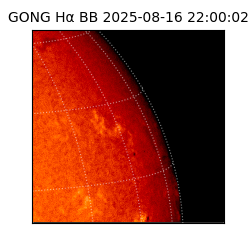 gong - 2025-08-16T22:00:02