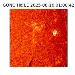 gong - 2025-08-16T01:00:42