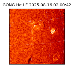 gong - 2025-08-16T02:00:42