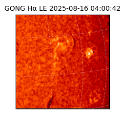 gong - 2025-08-16T04:00:42