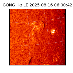 gong - 2025-08-16T06:00:42