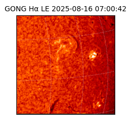 gong - 2025-08-16T07:00:42