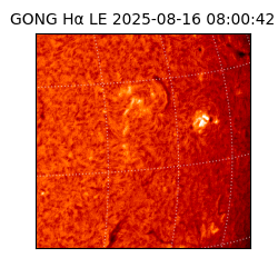 gong - 2025-08-16T08:00:42