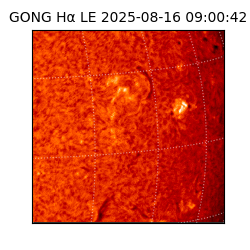 gong - 2025-08-16T09:00:42