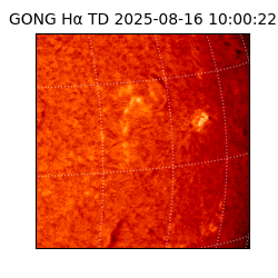 gong - 2025-08-16T10:00:22
