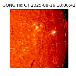 gong - 2025-08-16T18:00:42