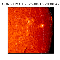 gong - 2025-08-16T20:00:42