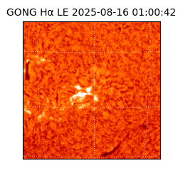 gong - 2025-08-16T01:00:42