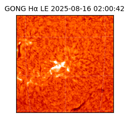 gong - 2025-08-16T02:00:42